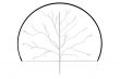 How to Draw a Tree - A Tutorial for Drawing Oak and Conifer Trees