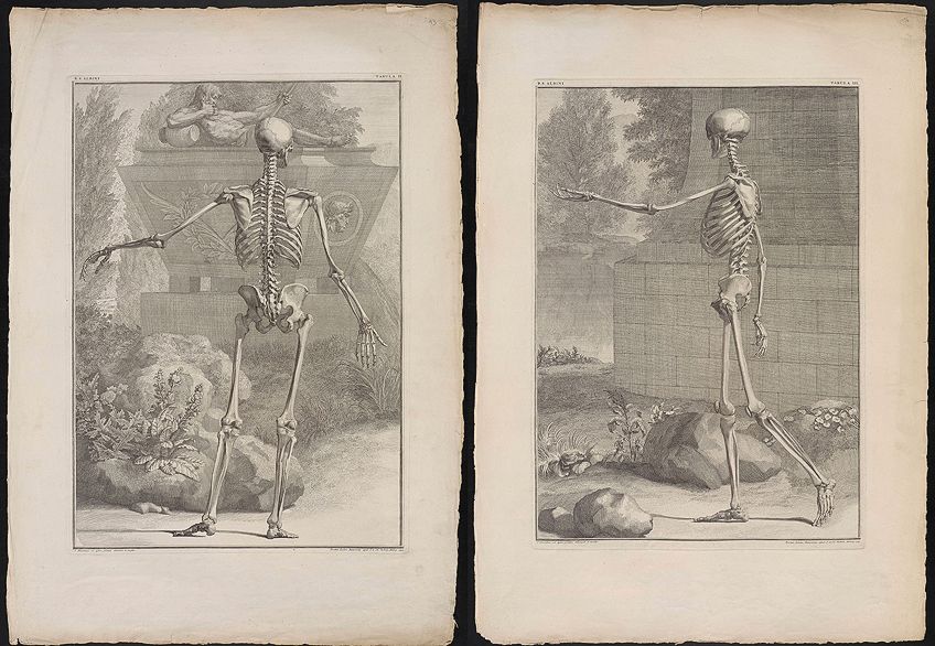 Books About Memento Mori Art