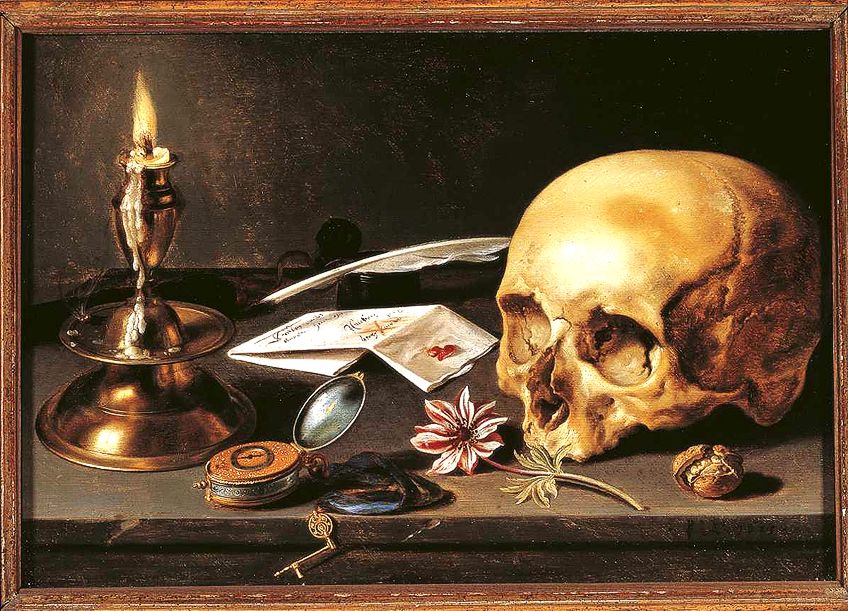 Skull Still Life