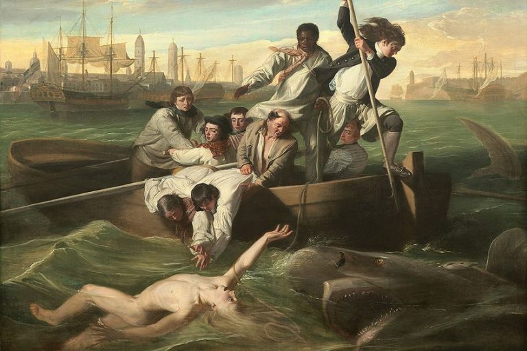Watson and the Shark by John Singleton Copley – An Analysis
