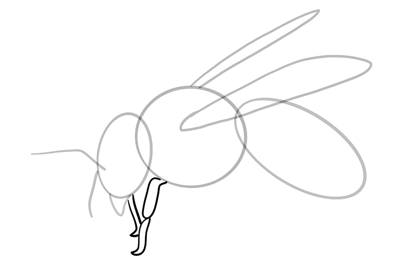 bee drawing 7