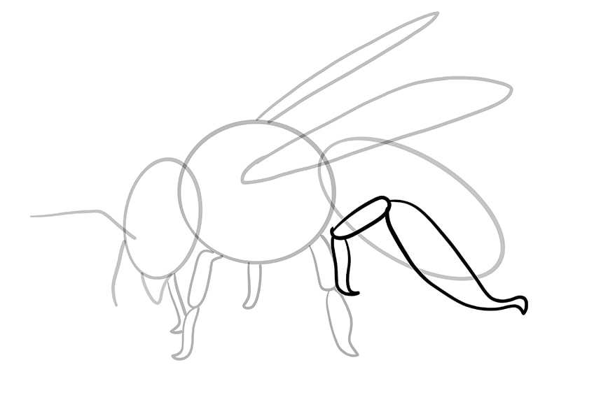 bee drawing 9