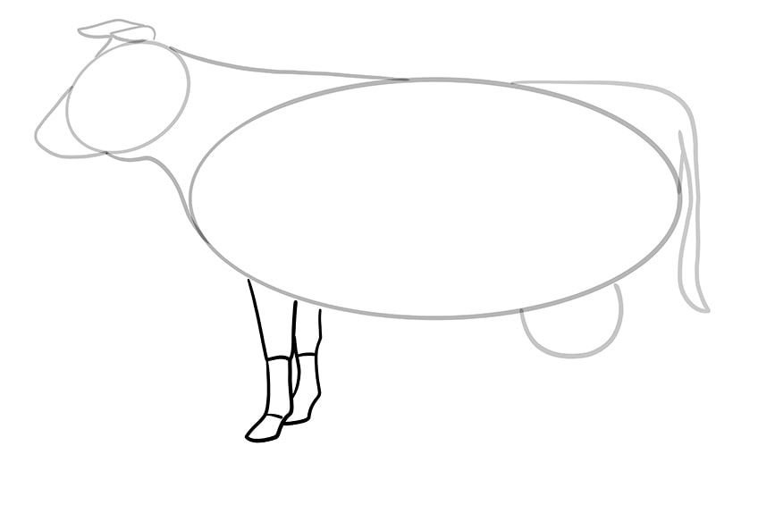 cow drawing 8