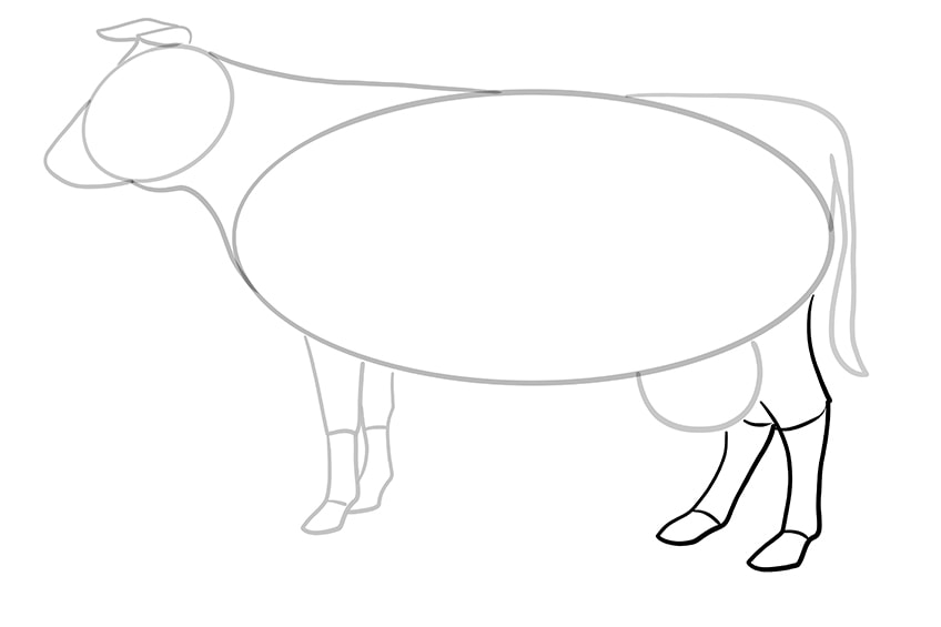 cow drawing 9