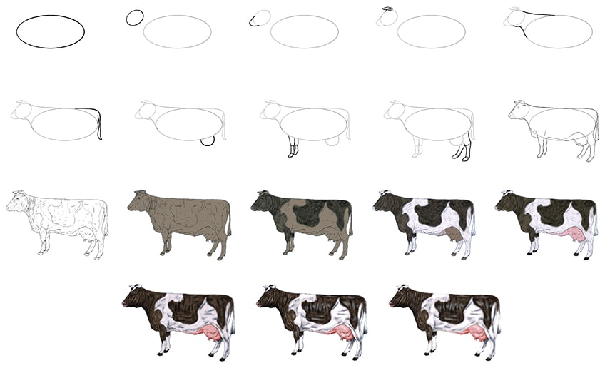How to draw a cute Cow with 09 simple steps - EASY TO DRAW EVERYTHING-saigonsouth.com.vn