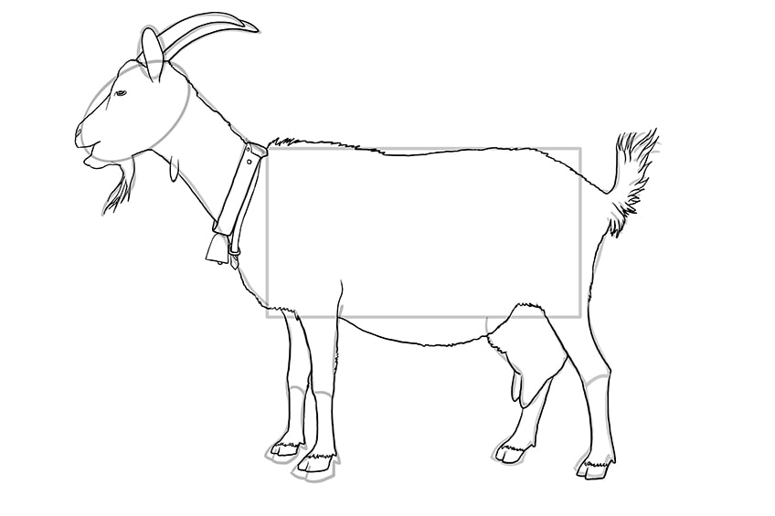 goat drawing 10