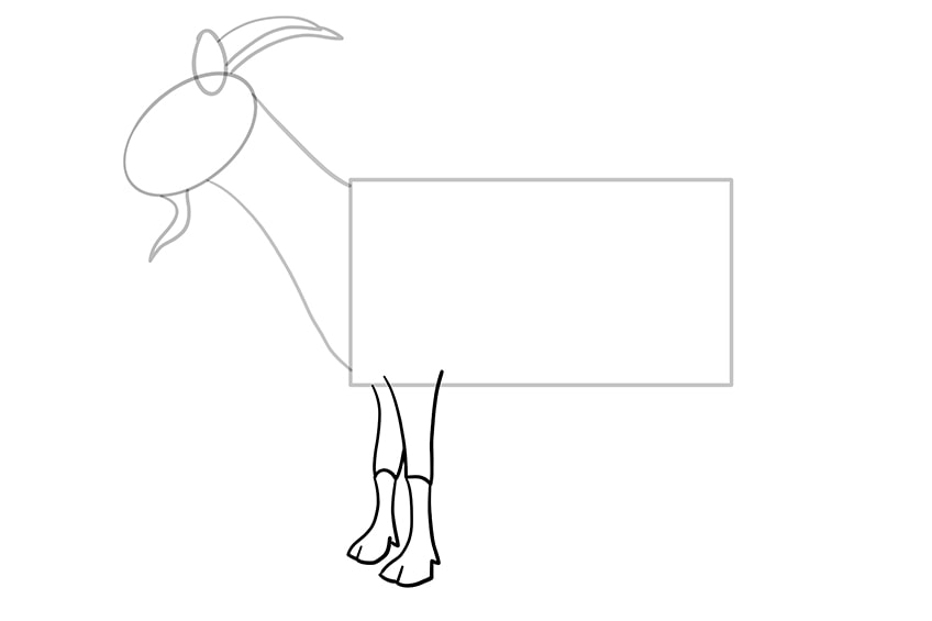 goat drawing 6
