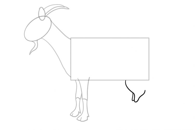 How to Draw a Goat - Learning the Ins and Outs of Goat Drawing with us