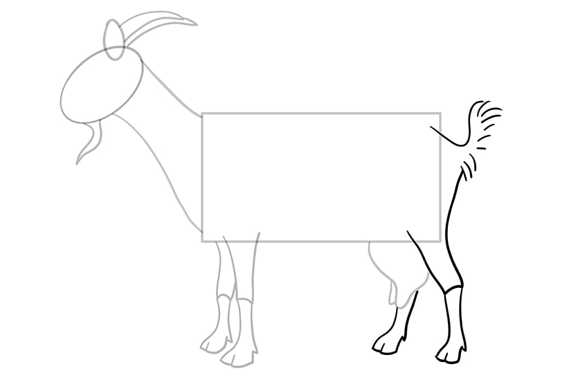 goat drawing 8