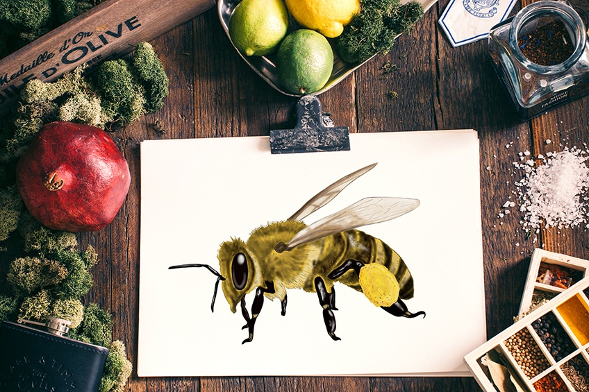how to draw a bee 2