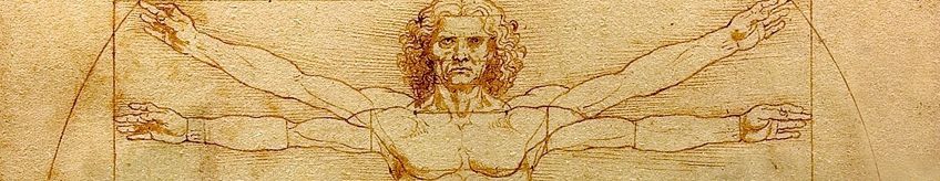 Close-Up of the Vitruvian Man da Vinci