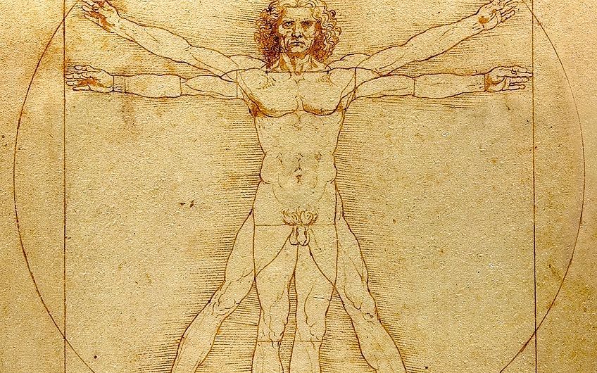 The Vitruvian Man da Vinci