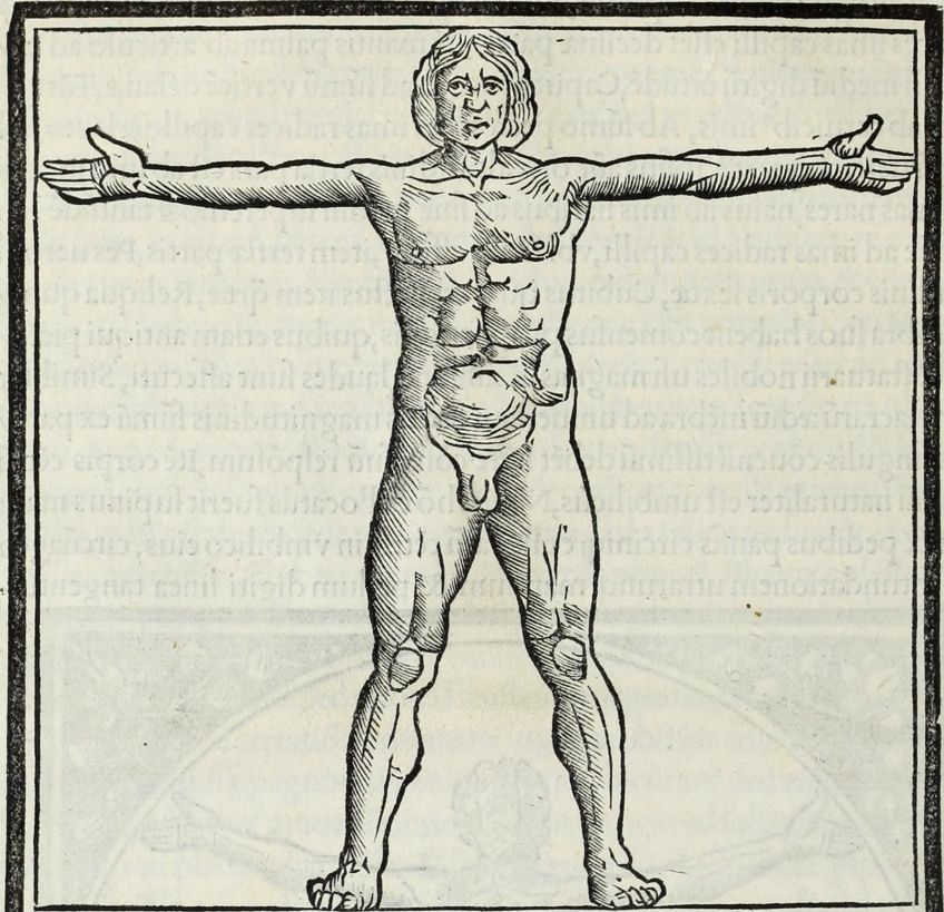 Vitruvian Physique by Vitruvius