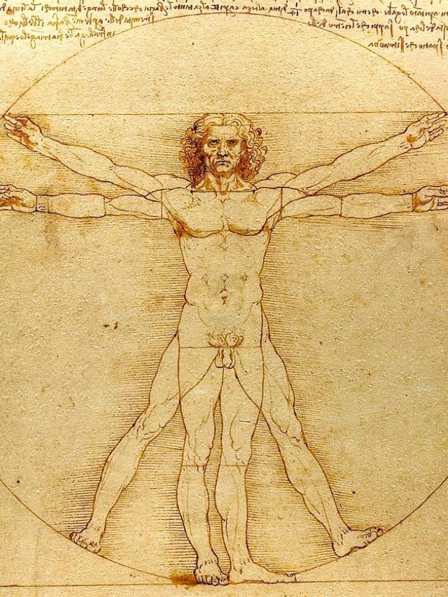 The Vitruvian Man - Everything You Need to Know! - Art in Context