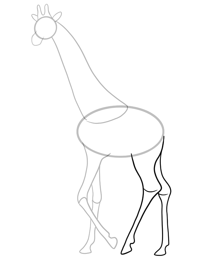 giraffe drawing 7
