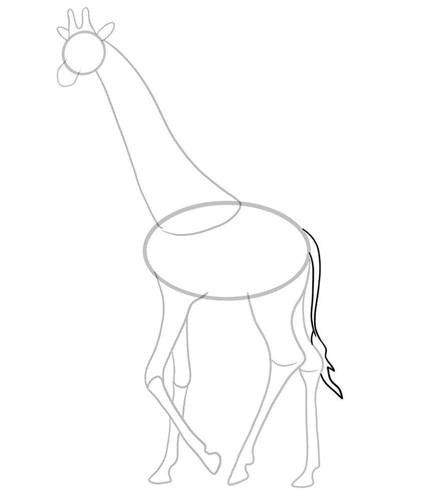 giraffe drawing 8