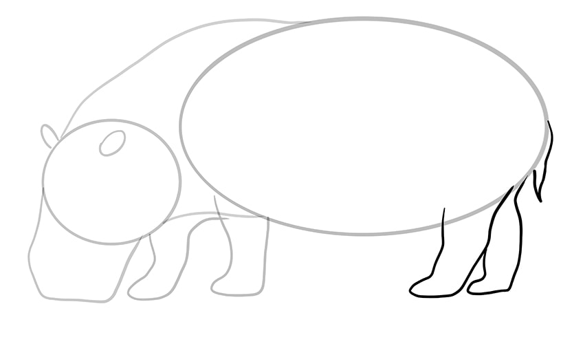 hippo drawing 7