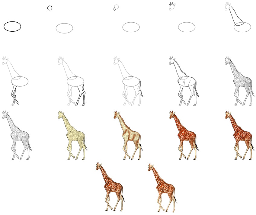 how to draw a giraffe collage