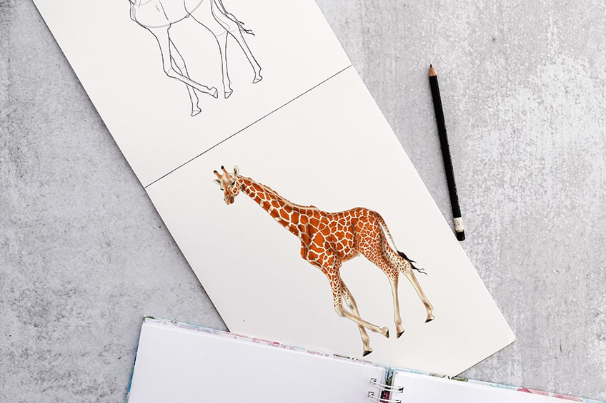 How to draw a Giraffe for kids | Giraffe Easy Draw Tutorial - YouTube