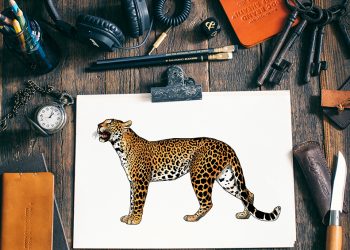 how to draw a leopard