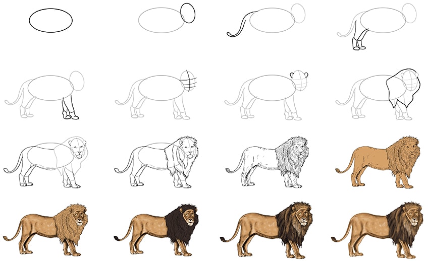 how to draw a lion easy