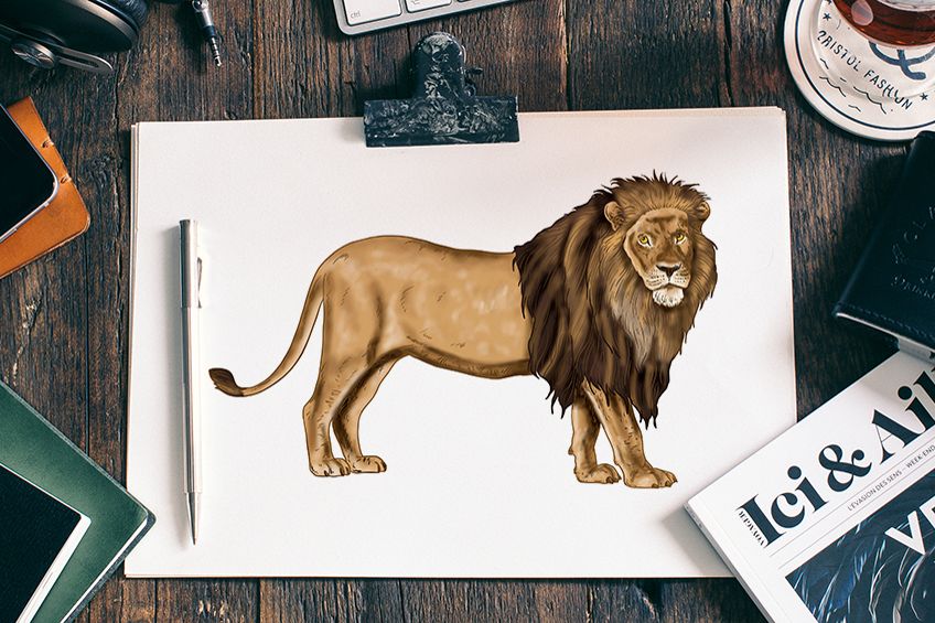 Lion - drawing 2HB pencil by Nunzio Liso on Dribbble