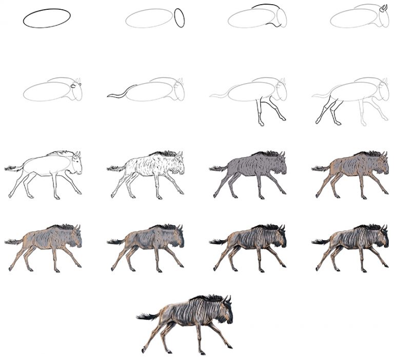 How To Draw A Wildebeest African Antelope Drawing Tutorial How To Draw A Wildebeest Collage 768x698