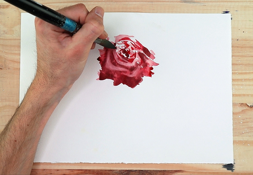 How to paint a Yellow Red Rose with Watercolors! Beginner friendly