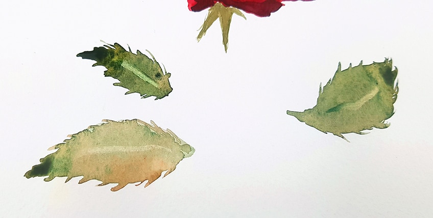 how to paint a rose 4d