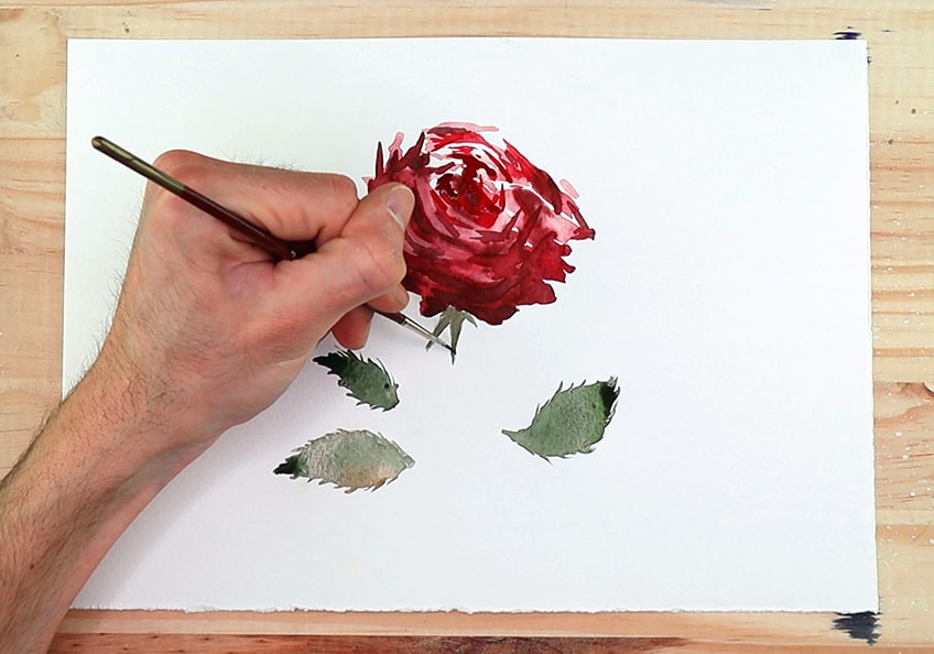 how to paint a rose 5a