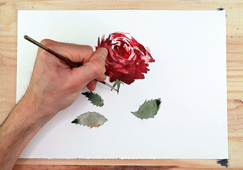 How to paint a Yellow Red Rose with Watercolors! Beginner friendly