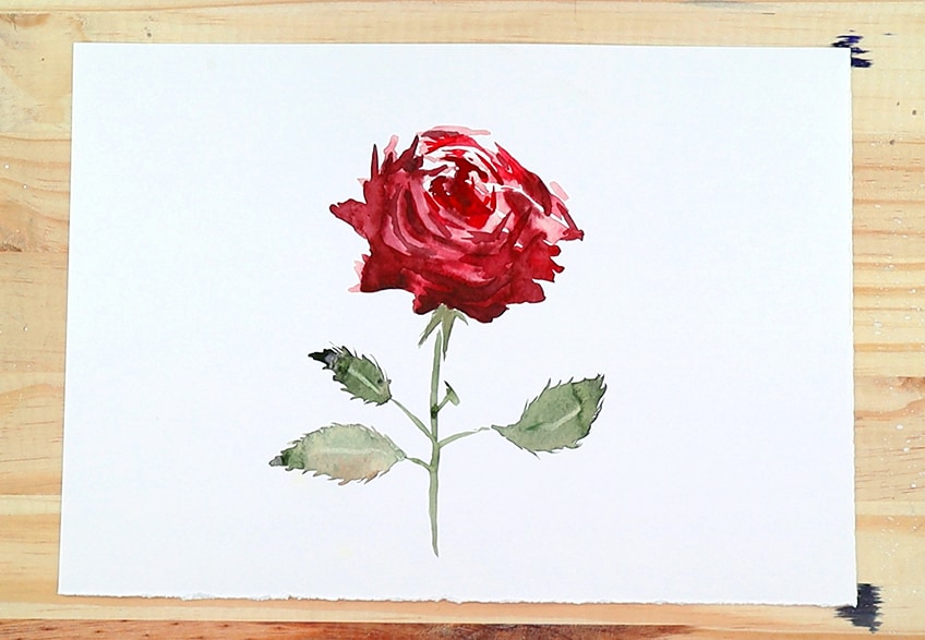 how to paint a rose 5b