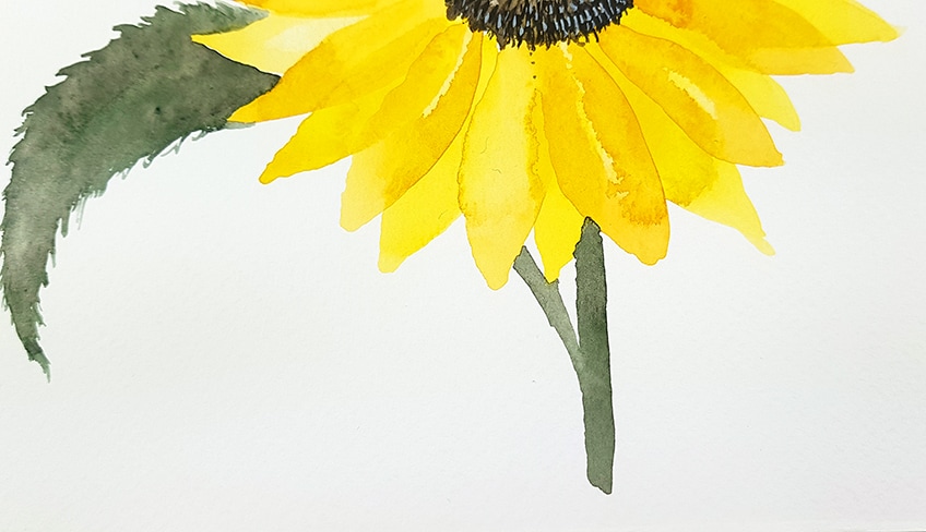 how to paint a sunflower 8a