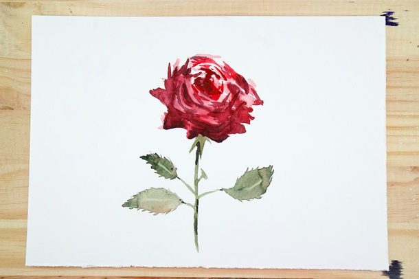 How to Paint Watercolor Roses - Easy Rose Watercolor Painting Tutorial