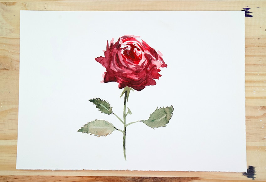 how to paint watercolor roses