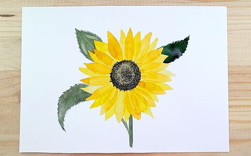 how to paint watercolor sunflowers