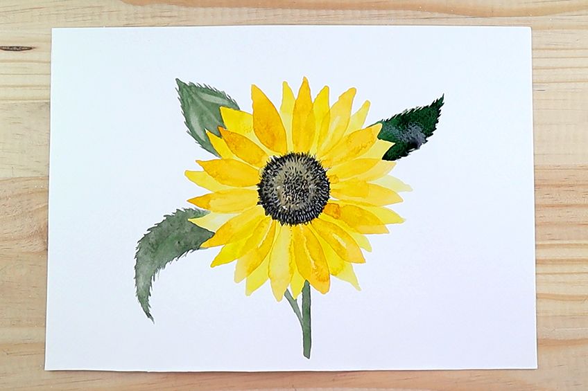 how to paint watercolor sunflowers