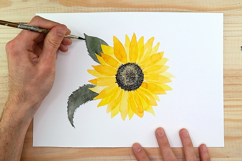sunflower watercolor painting 7d