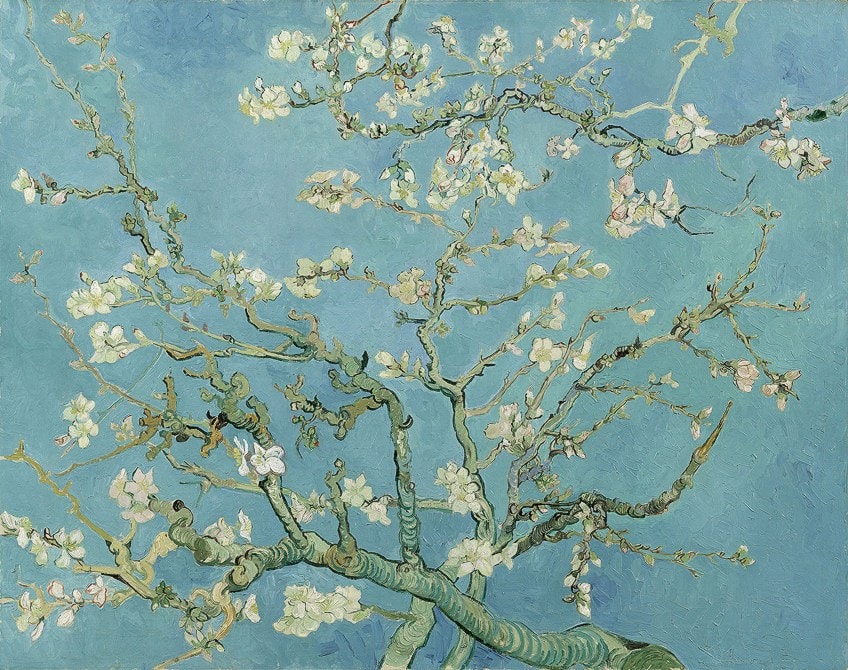 Almond Blossom Meaning