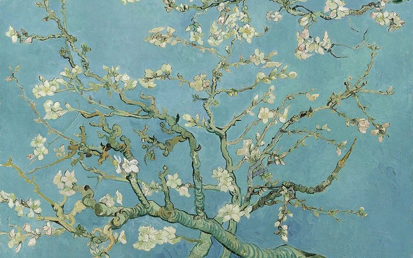 Almond Blossom van Gogh
