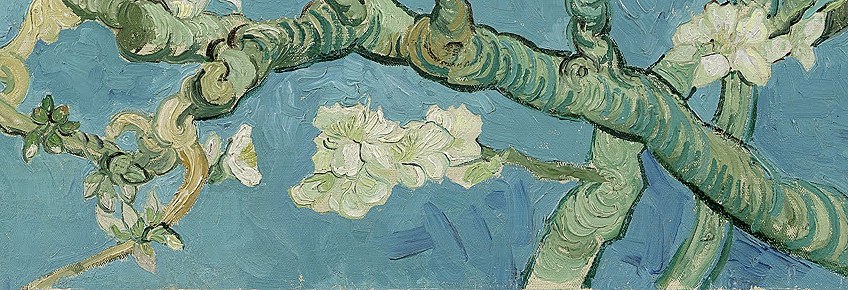 Almond Flowers Detail