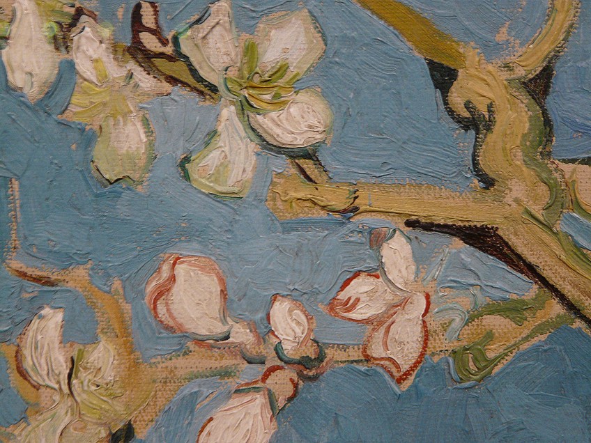 Detail of Almond Flowers