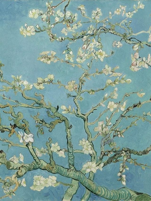 cropped-Almond-Blossom-Meaning.jpg