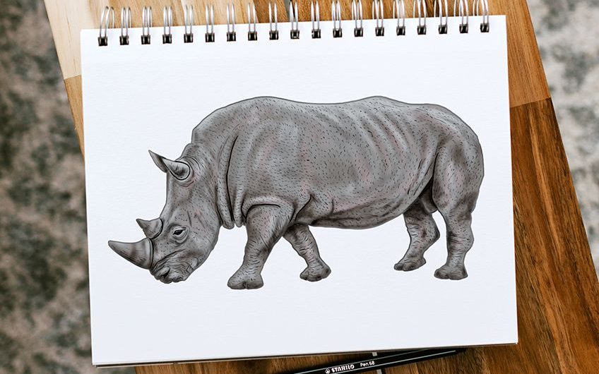 how to draw a rhino