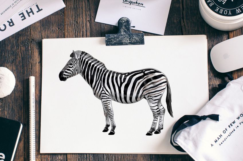 zebra drawing step by step