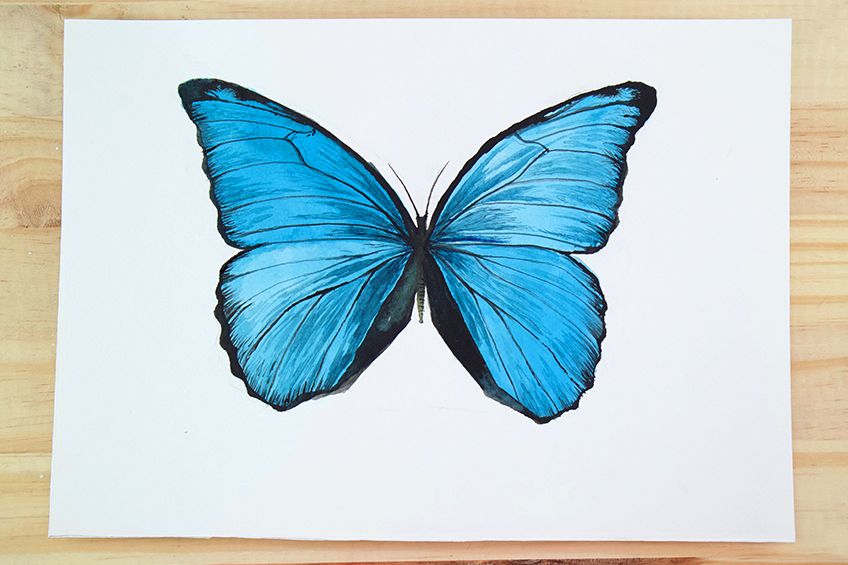 how to paint a watercolor butterfly