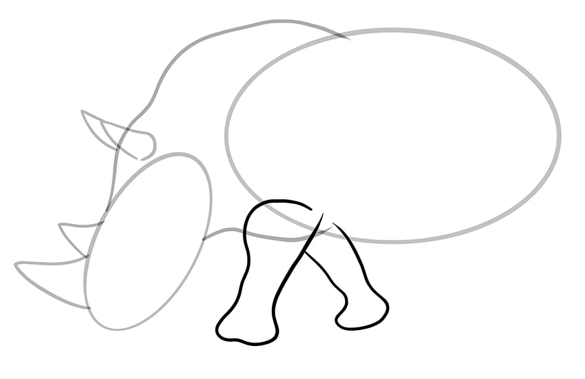 rhino drawing 7
