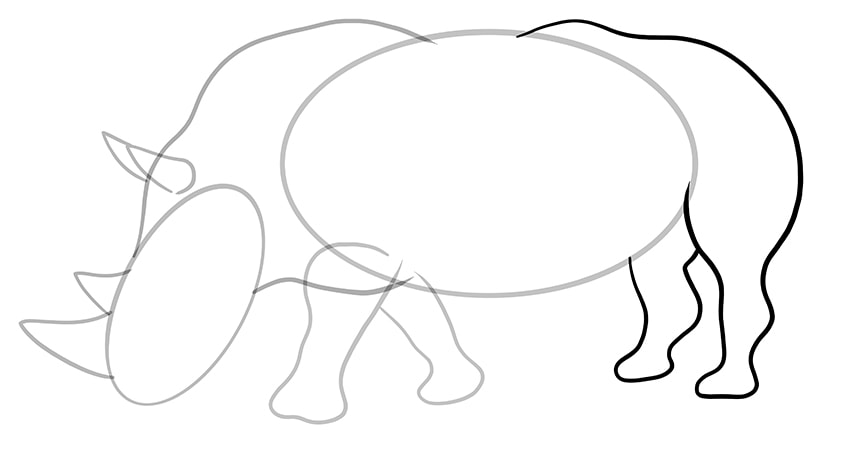 rhino drawing 8
