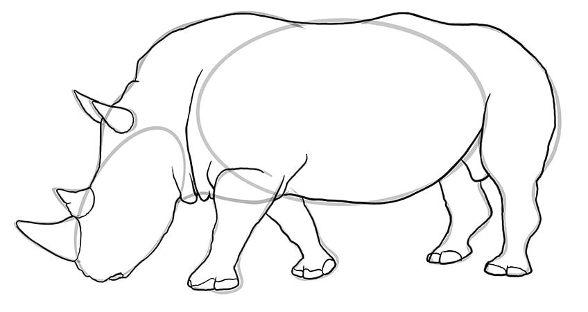 rhino drawing 9