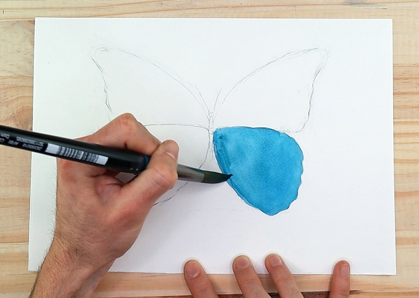 watercolor butterfly 2a